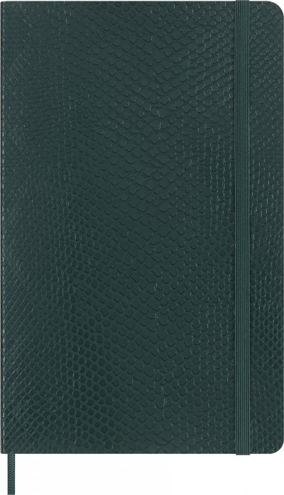 Блокнот Moleskine LE PRECIOUS & ETHICAL Large в зеленом цвете