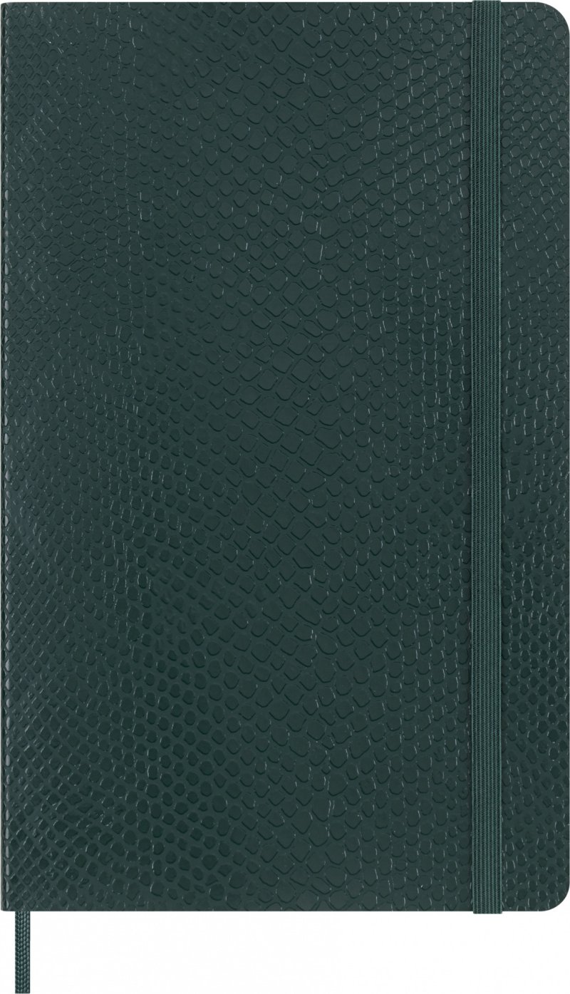 Блокнот Moleskine LE PRECIOUS & ETHICAL Large в зеленом цвете